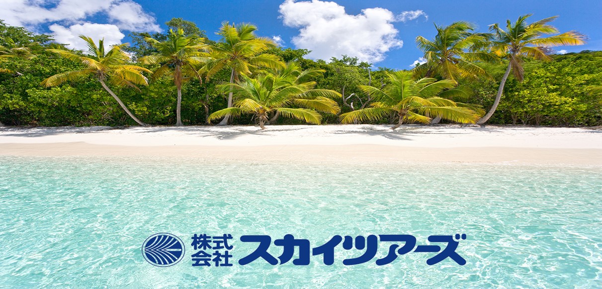 スカイツアーズ代理店登録