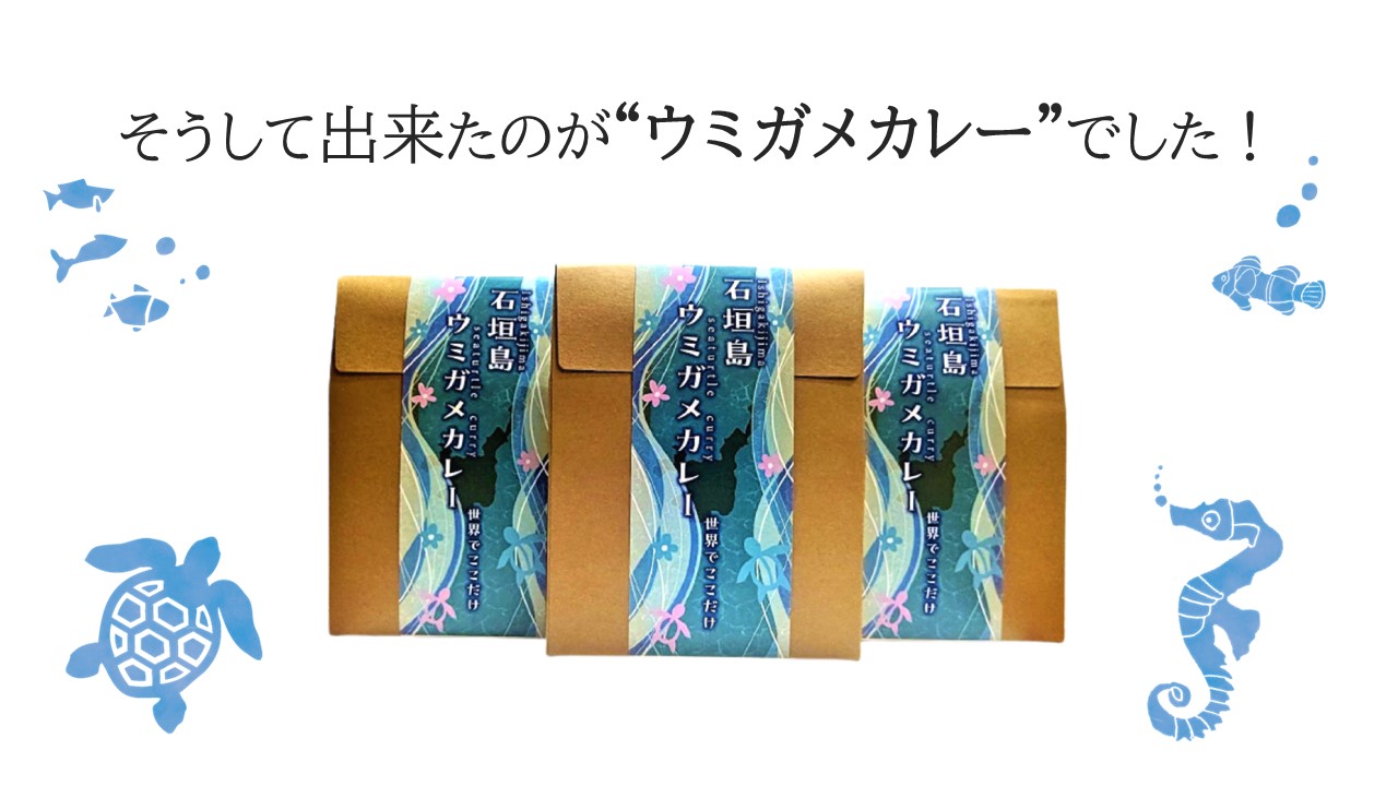 日本の伝統と文化を護る☆石垣島ウミガメカレー 日本の伝統と文化を護る☆石垣島ウミガメカレー
